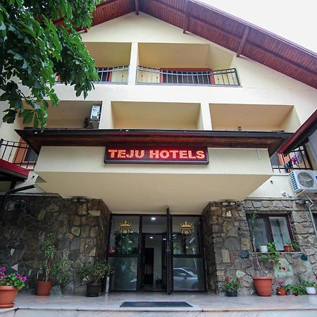 Teju Hotels Slănic Exterior foto